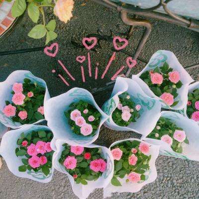 威尼斯官方网址下载