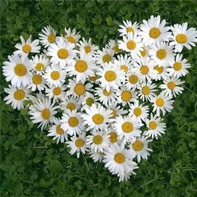 环球体育官方登录入口